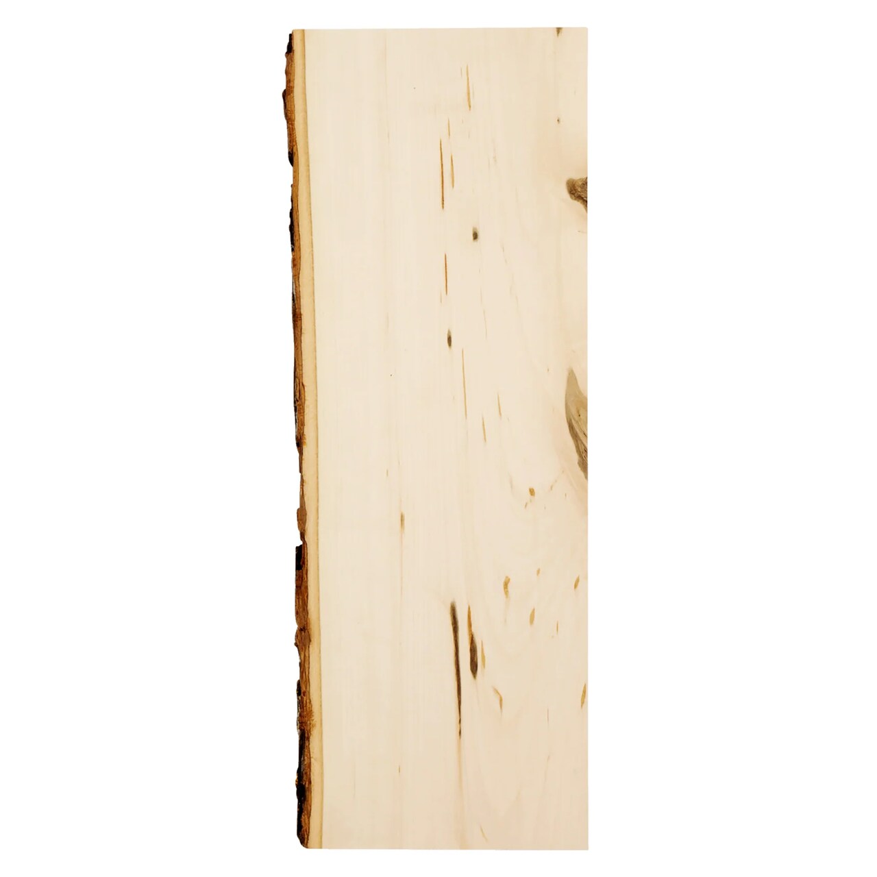 Rustic Basswood Bark Edge Board, 4-Pack 16" Long for Signs & Shelves